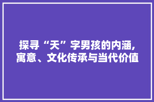 探寻“天”字男孩的内涵,寓意、文化传承与当代价值