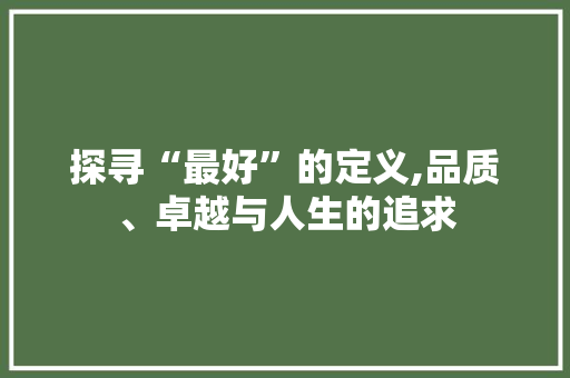 探寻“最好”的定义,品质、卓越与人生的追求